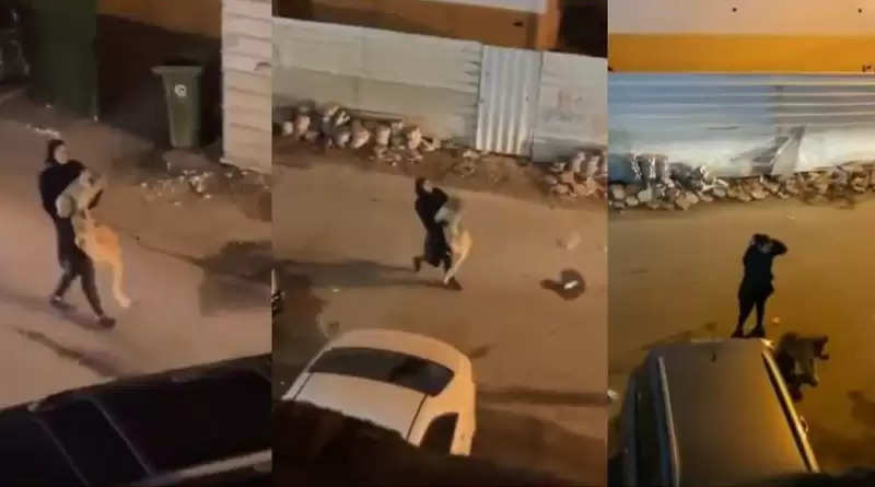 kuwait-girl-catches-carries-escaped-lion-viral-video