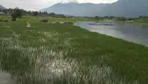 Delta-area