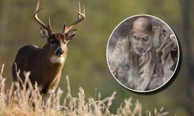 zombie-deer-disease