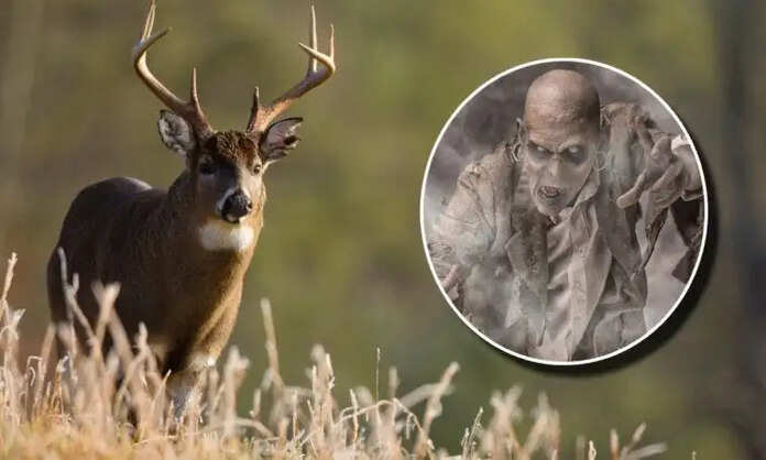zombie-deer-disease