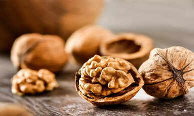 Walnut