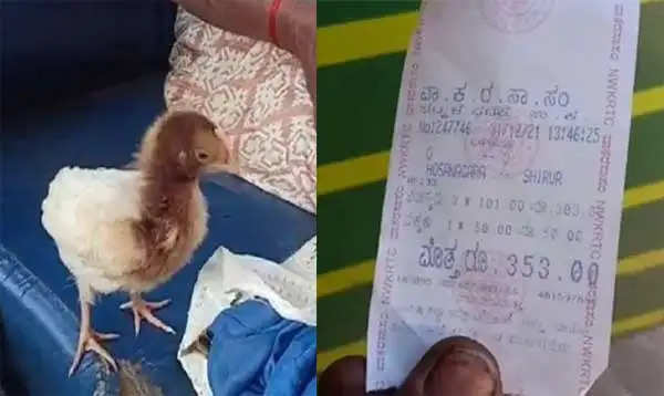 chick-charged-52rs-bus-fare-at-ksrtc-which-originally-worth-rs-10