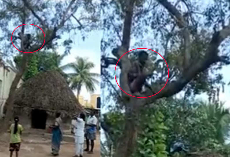 Man-climbs-in-tree-refused-to-vaccine