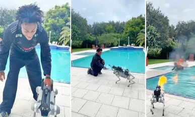 Robot Dog