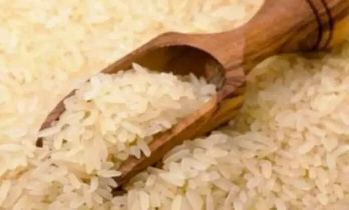 Rice
