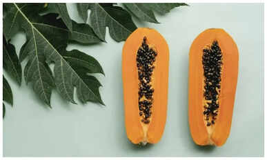 Papaya