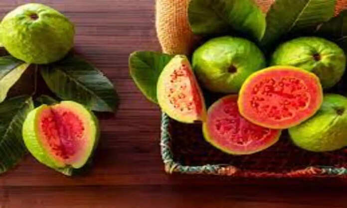 guava