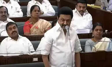 Stalin in assembly