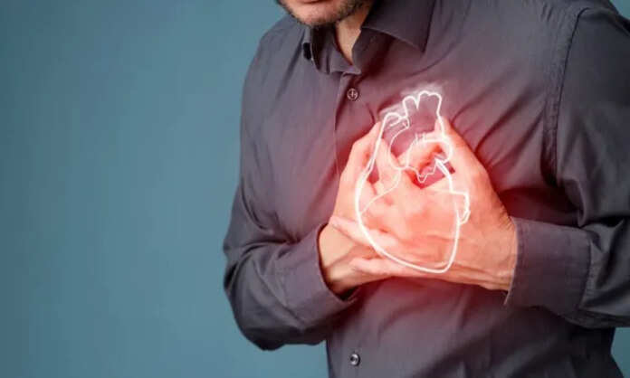 Heart