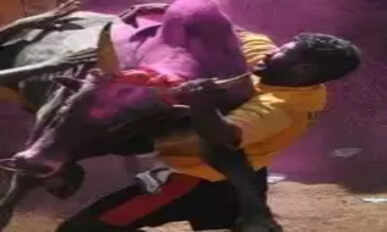 ஜல்லிக்கட்டு