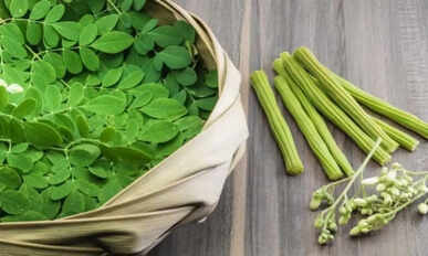 Moringa Leaves