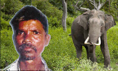 Erode