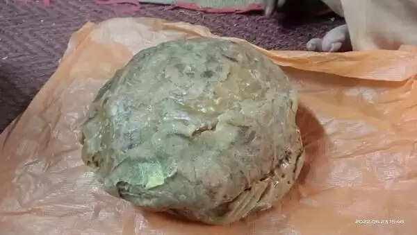 hale-residue-worth-rs-10-crore-seized-in-madurai