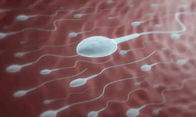 Sperm