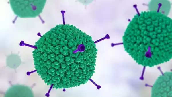 Adenovirus