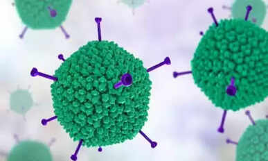Adenovirus
