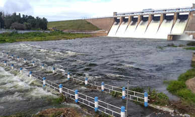 Vaigai Dam